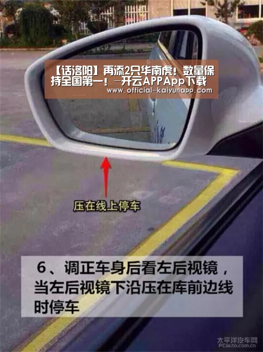  官方下载地址|开云APP