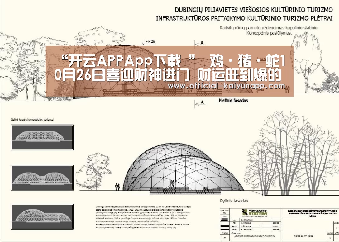 开云APPApp下载 