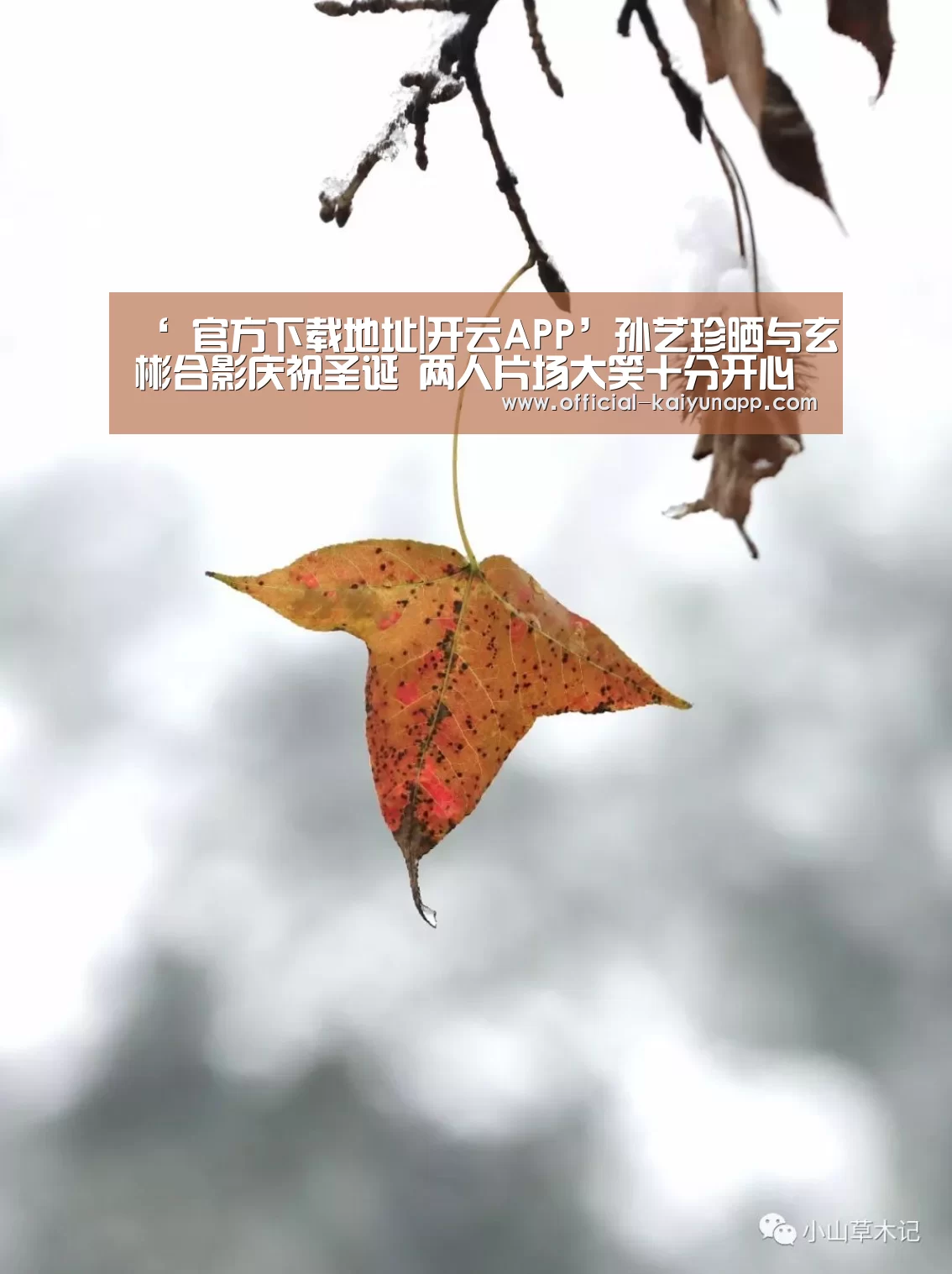 开云APPApp下载 