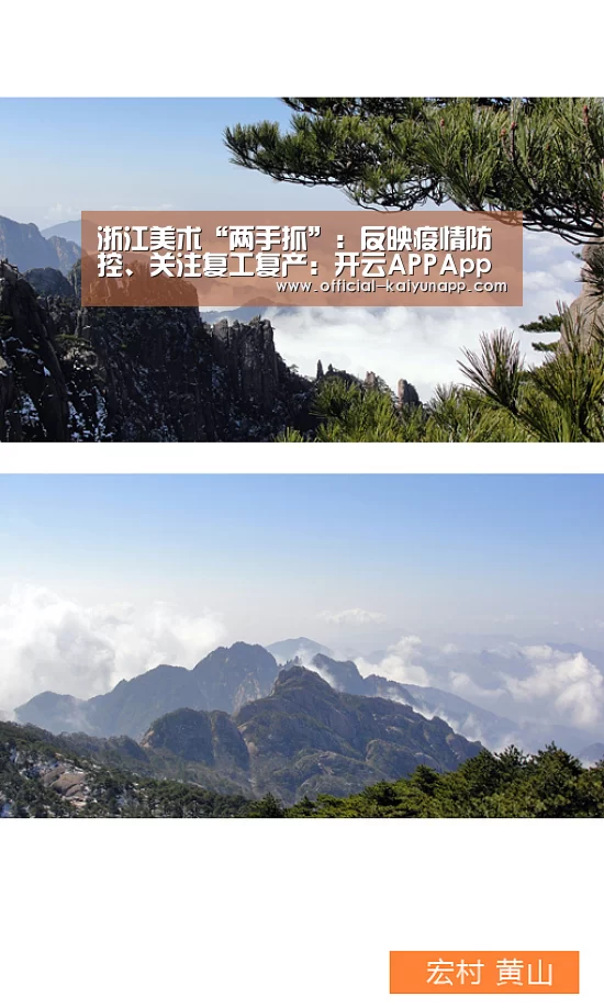  官方下载地址|开云APP