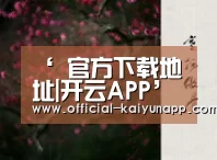 开云APPApp下载 